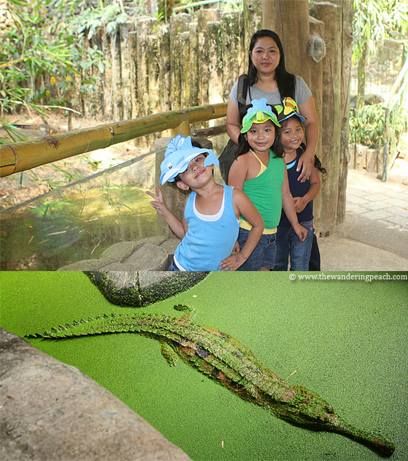 Avilon Zoo in Rizal