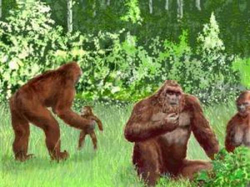 Bigfoot Sasquatch And Skunk Ape