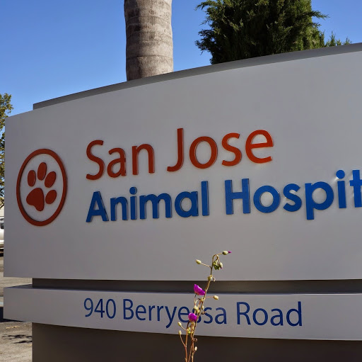 San Jose Animal Hospital, A Thrive Pet Healthcare Partner logo