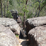 Passing through the rock on the Gibbergong track (118849)