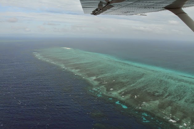 Michaelmas Cay Reef as seen from the sky