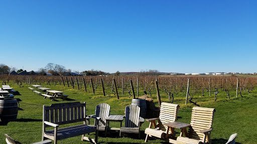 Winery «Palmer Vineyards», reviews and photos, 5120 Sound Ave, Riverhead, NY 11901, USA