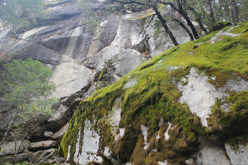 Yosemite Valley