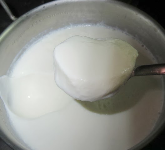 plain yogurt recipe