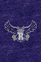 Rice%252520Owls%252520Blue.jpg