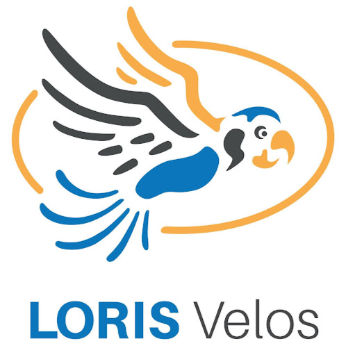 Loris Concept GmbH logo