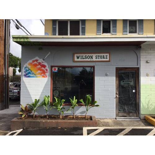 Wilson Store