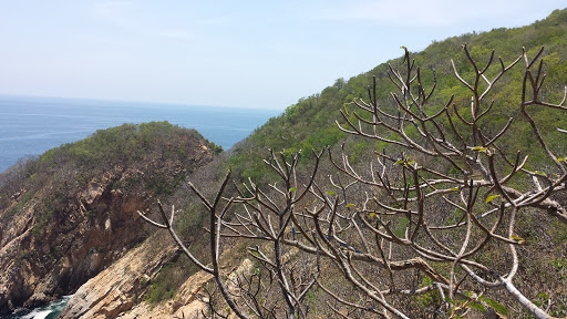 La Isla de La Fantasia