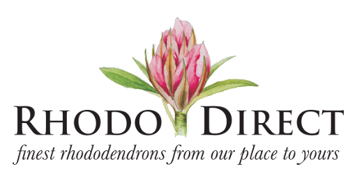 Rhododirect logo