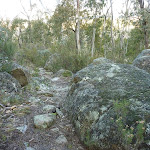 Granite Boulders on the Pallaibo Track (303157)