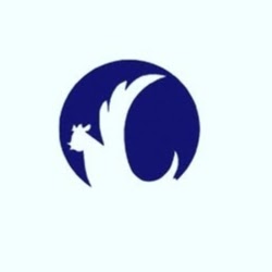 Wingz it iz Alsip Fish & Shrimp & Chicken & seafood logo