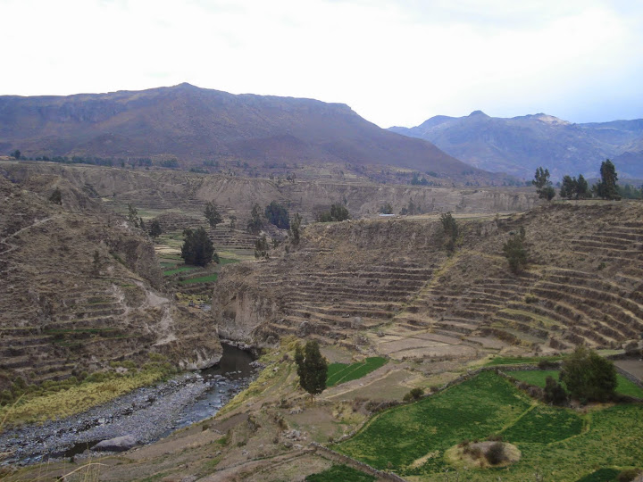 Perú por libre - Blogs de Peru - Etapa 3. Arequipa - Yanque (10)