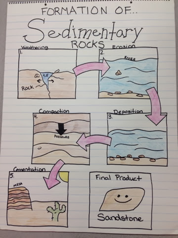 Miller's Science Space: Just a quick update...with anchor charts!
