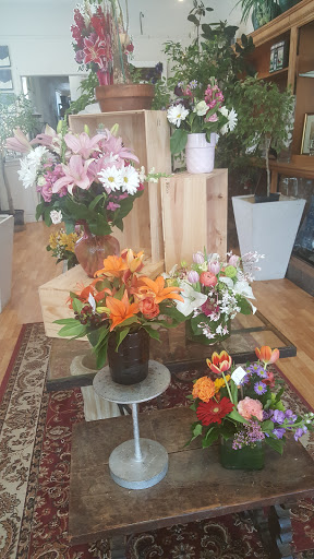 Florist «Lane & Lenge Florists, Inc», reviews and photos, 214 Park Rd, West Hartford, CT 06119, USA