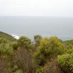 View from Bouddi Lookout (21563)