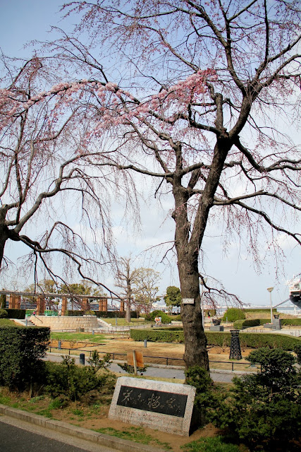 日本 橫濱 山下公園