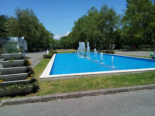 The Sea Garden
