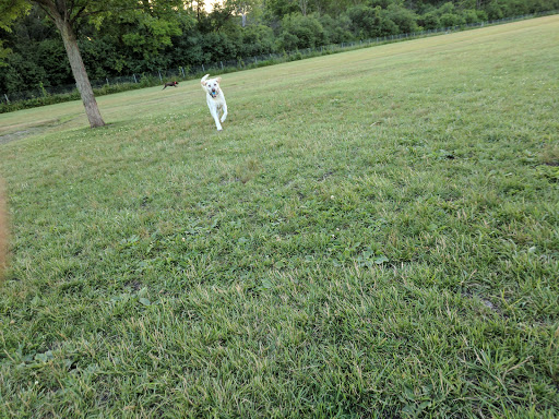 Dog Park «Beck Lake Off-Leash Dog Area», reviews and photos, 9700 Gloria Ct, Glenview, IL 60025, USA