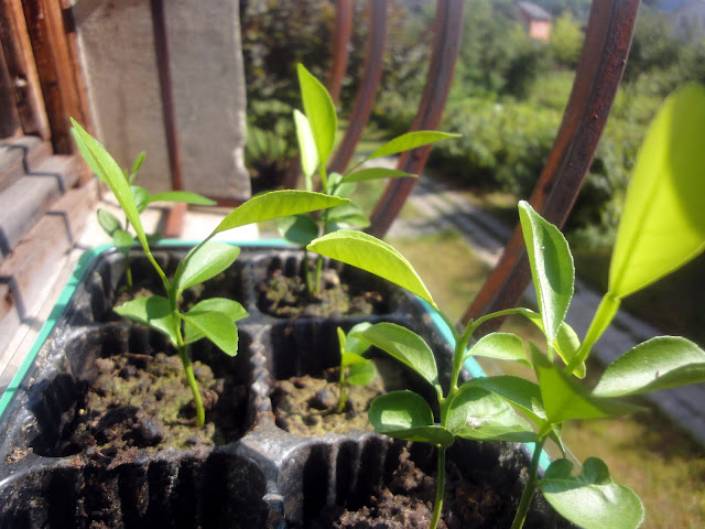 one day в кадрах