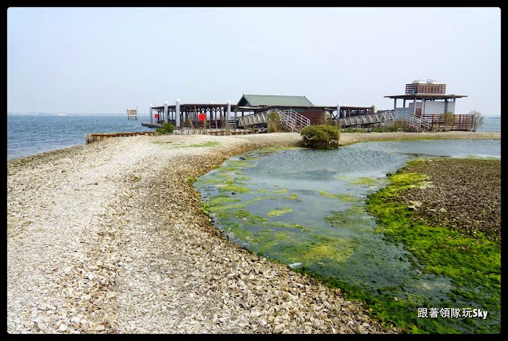 屏東景點推薦-東港大鵬灣【鵬福灣上饗宴+上蚵殼島遊灣】