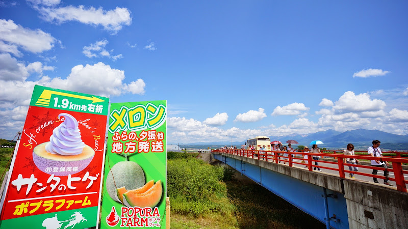 富良野 メロン 写真