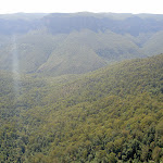 Grose Valley from Govetts Leap Lookout (15076)