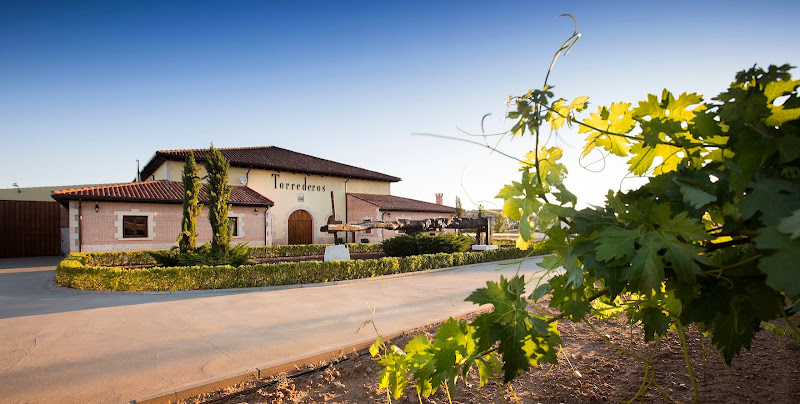 Main image of Bodegas Torrederos