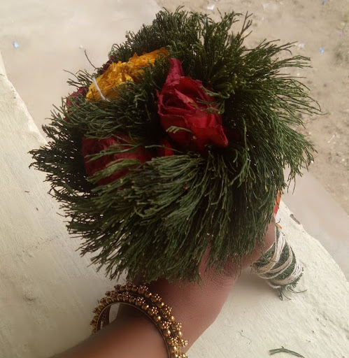 Image pertaining to PAVI NETHRA