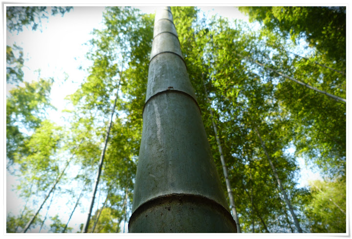 … y, por fin, Kumamoto … - Japón es mucho más que Tokyo (19)