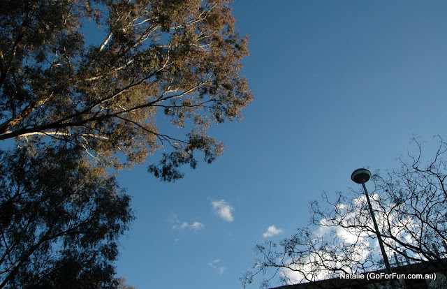 Canberra, the Very First Impression - Part 3 - Weather. University of Canberra. What's Next