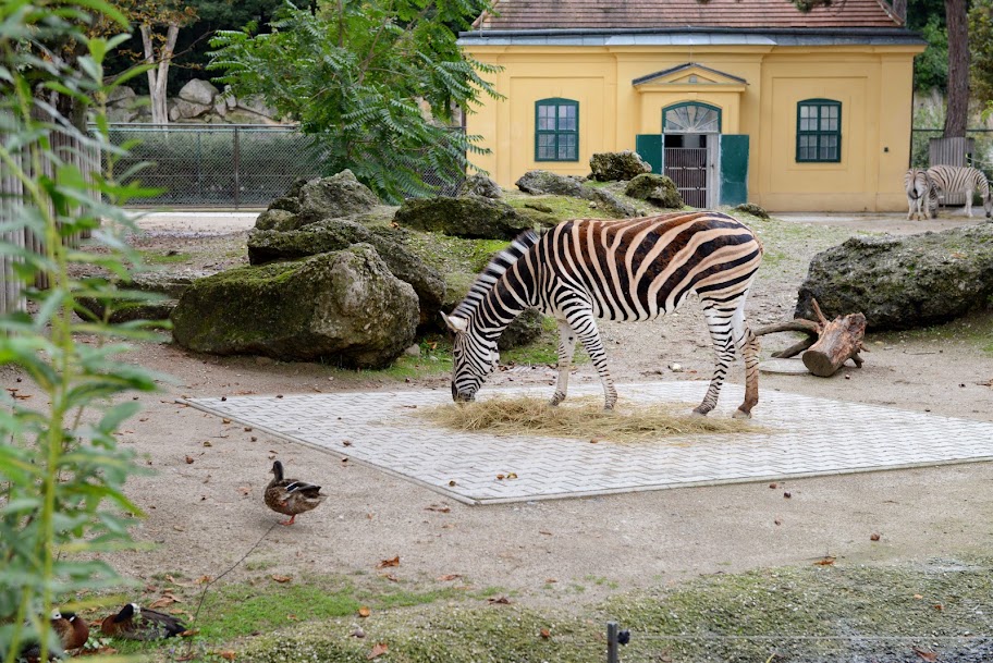 Австрия в ритме осеннего вальса (05.09.14-16.09.14)