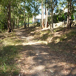 Fire trail behind houses in Green Point Reserve (403396)
