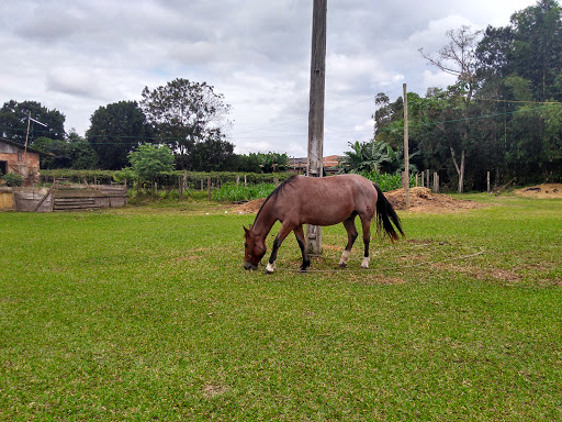 Ctg Espora De Prata Sombrio SC, R. Pref. Fioravante Minato, 1602-1636 - Januária, Sombrio - SC, 88960-000, Brasil, Discoteca, estado Santa Catarina