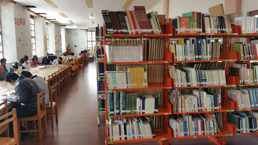 Biblioteca Rosario Castellanos, 1A. sur Oriente 23, Centro, 30000 Comitán de Domínguez, Chis., México, Biblioteca pública | CHIS