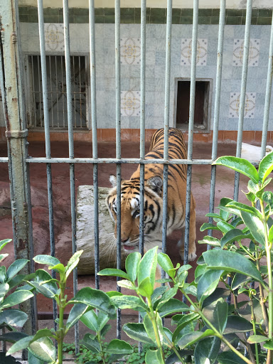 Naples Zoo
