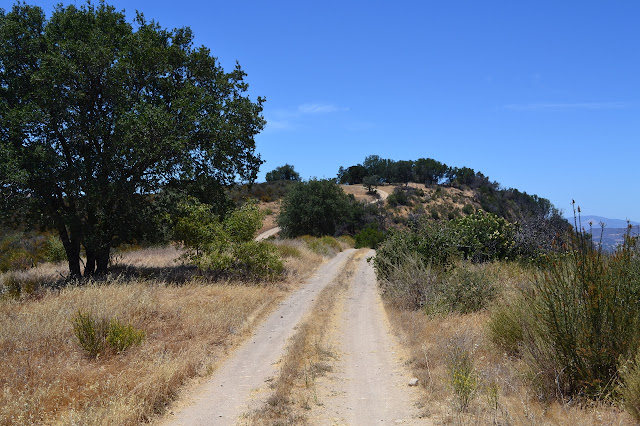 ridge road winding along the ridge