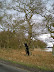 Old trees on the edge of Staverton Park