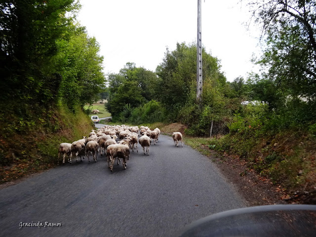 passeando - Passeando pela Suíça - 2012 - Página 26 DSC03155