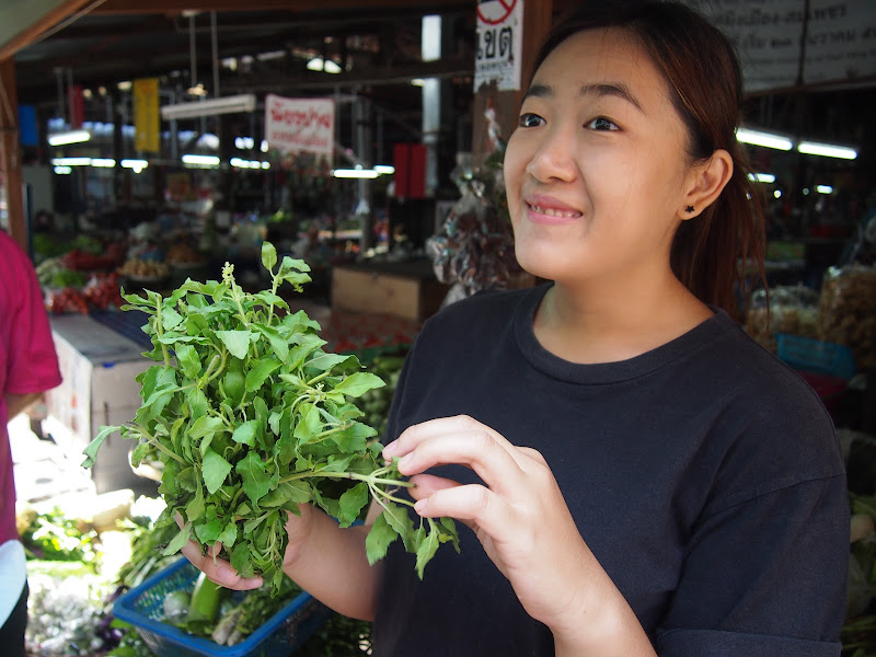 Chiang Mai - Curso de cocina / Visita de la ciudad / Night Bazaar - Por Tierras de Siam (2)