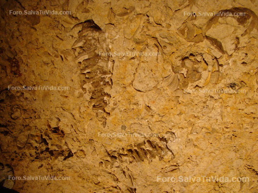 La cueva de las calaveras, Benidoleig, Alicante DSC05915