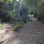 Passing the Pennant Hills turn off (64184)