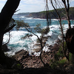 View south of the coast (102394)