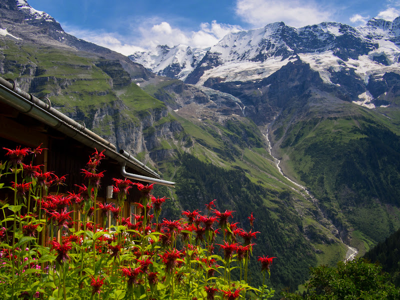 Paisatges des de Gimmelwald