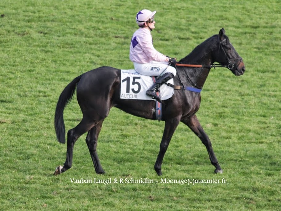 Photos Auteuil 23-11-2014  IMG_6180