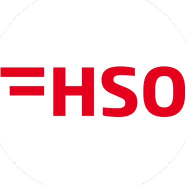 HSO Wirtschafts- und Informatikschule logo
