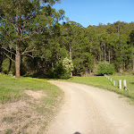 Walking through farm land in Congewai Valley (362147)