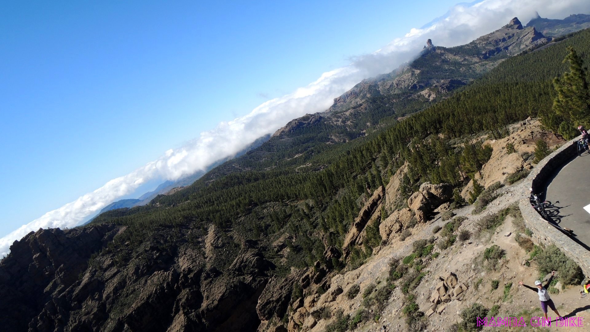 Pico de las Nieves