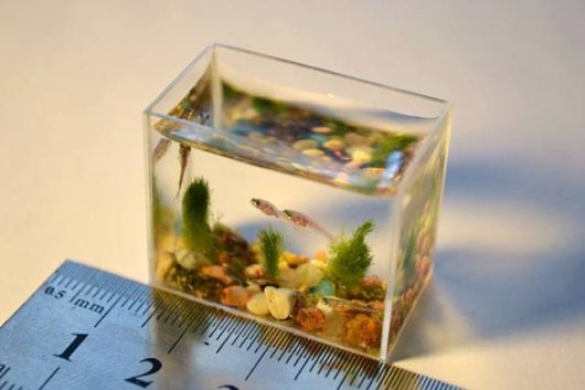  اصغر حوض سمك في العالم  Micro_miniature_art_aquarium_03