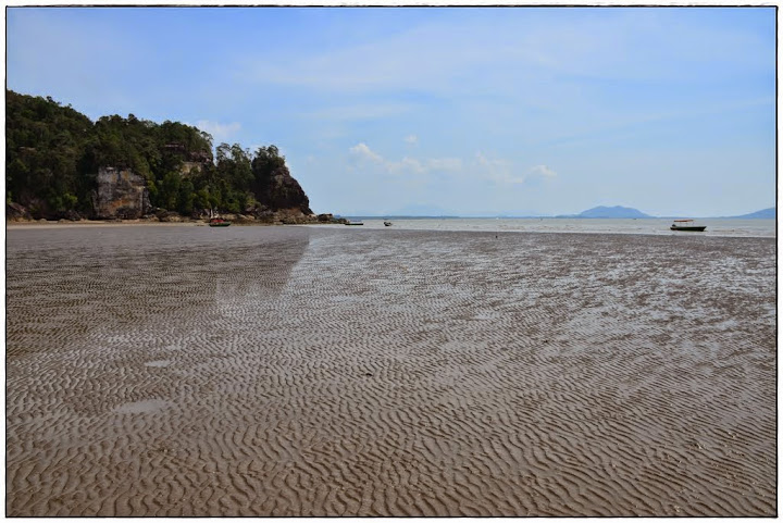 Kuching y Bako National Park - Kuala Lumpur, Borneo malayo y Bali (11)