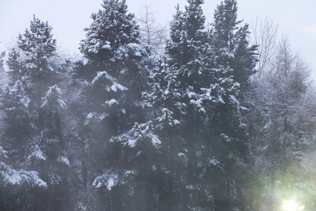 Snow on Campus